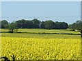 Farmland near Melton Mowbray