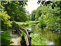 River Wey above Eashing Mill