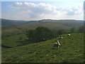 Towards Knight Close Farm