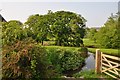 Mid Devon : Grassland & Pond