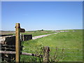 The path to Sandyforth Farm