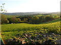 View west(ish) from the track to Pen-y-Foel