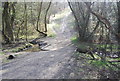 Footbridge over a small woodland stream