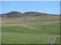 Fields, Glengoulandie