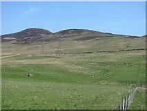 NN7652 : Fields, Glengoulandie by Richard Webb