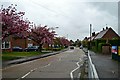 Dorset Avenue, Great Baddow, Essex