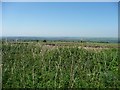 View from the ridge, by the guide stone