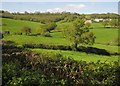 Valley below Shapcombe Farm