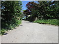 The path at Fenton House