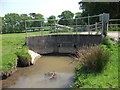 Sluice at Ynysymaengwyn