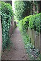 Footpath, Battledown Estate