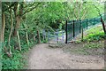 Kissing gate near Ham