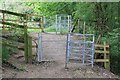 Two kissing gates near Ham