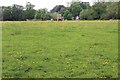 Grass meadow near Ham