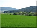 Farmland, Strath of Appin