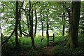 Stile out of the woods on Aggs Hill