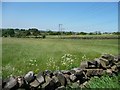 Overhead wires crossing the Littleheath Houses track