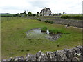 Small pond, fairly dry, west side of Elmton