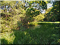 Manchester, Bolton and Bury Canal, Prestolee