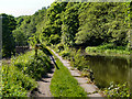 Manchester, Bolton and Bury Canal at Ringley.