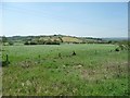 Farmland near Longshaw