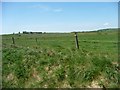 SK0351 : Farmland south-east of Blakelow by Christine Johnstone