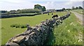 Water Hole Farm, Tideswell