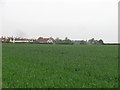 Arable land, Coaltown of Wemyss