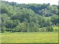 The Churnet valley west of Oakamoor