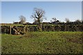 Stile near Stocks Green