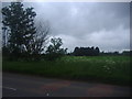 Fields by Gamlingay Road, Waresley