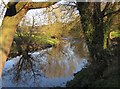 River Nidd near Darley