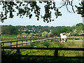 London Loop in the Horse Belt