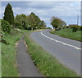 Path alongside the A456 at Mamble