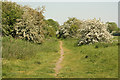 GNR & LNWR trackbed