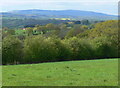 North Worcestershire countryside