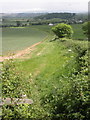 Footpath towards Withycombe Lane