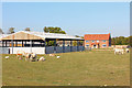 Farm at Cholsey