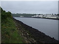 NZ2863 : The River Tyne by JThomas