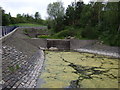 Water feature, Linear Park