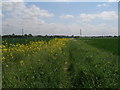 Footpath between Mickletown and Windmill Moor