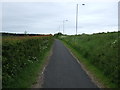 Cycle path beside the A1061