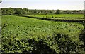 Fields by the old A38