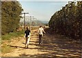 Hop Picking at Cold Green Farm