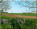 Fields at Newhouse Farm