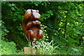SZ5881 : Red Squirrel in Shanklin Chine, Isle of Wight by Peter Trimming