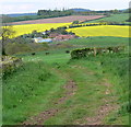 A view of Liveridge Farm