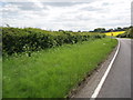 Approaching Bengeo on the B158