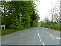 Road through Bashall Moor Wood