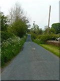 SD6943 : Road at Old Vicarage Farm, Bashall Eaves by Alexander P Kapp
